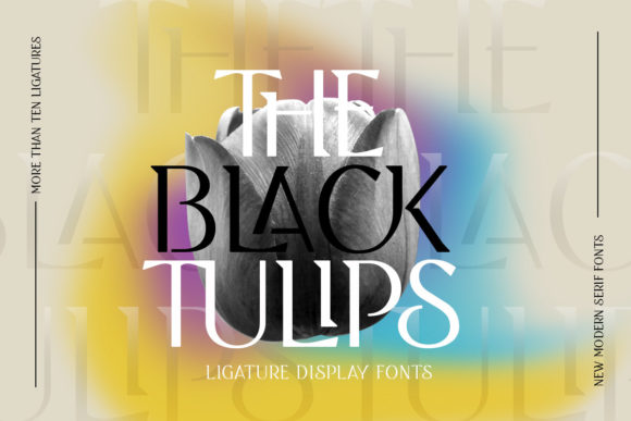 Black Tulip Font: A Serif Typeface That Elevates Campaign Design