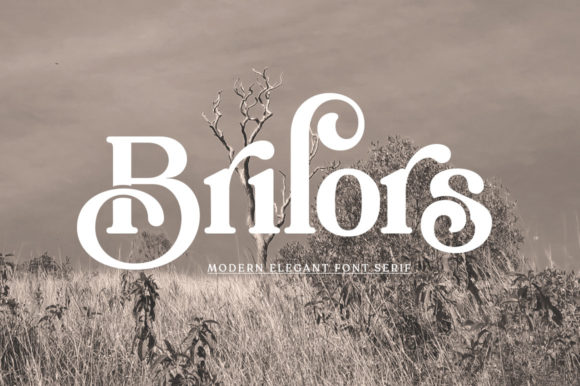 Brilors Font: A Simple Typography Upgrade for Your Brand