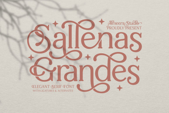 Sallenas Grandes: A Serif Font That Elevates Branding Projects