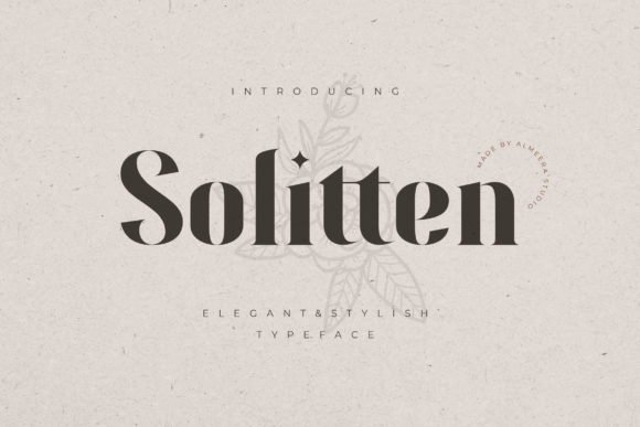 Solitten Font: The Stylish Serif That Elevates Your Campaigns